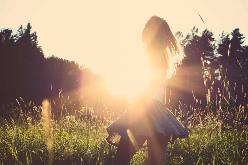 Backlit meadow, lens flare